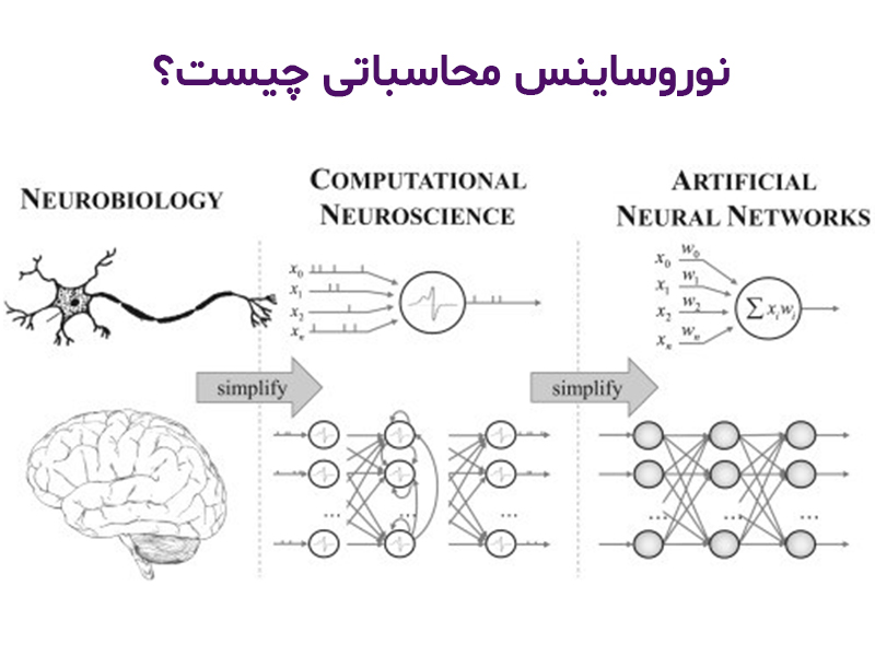 علوم اعصاب محاسباتی / computational neuroscience