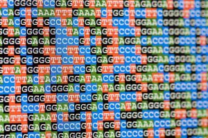 ژنوم - Genom - تریتا