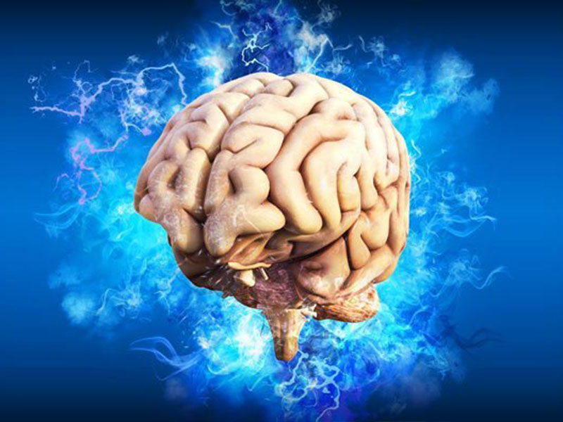 شگفتی‌های مغز انسان / human brain miracles