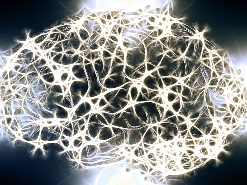 نوروساینس چیست؟/what is neuroscience