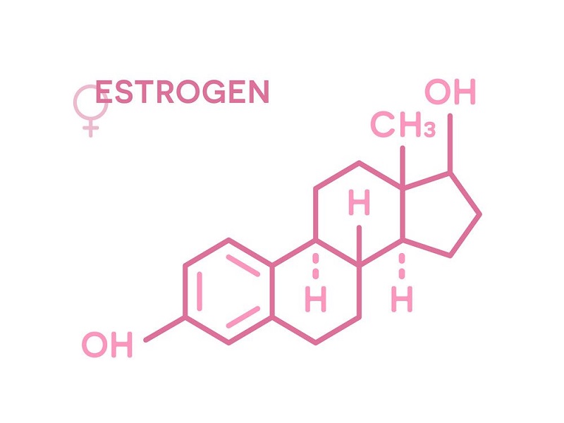 استروژن / Estrogen