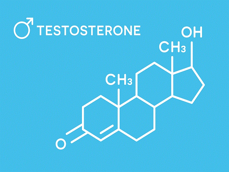 تستوسترون / Testosterone