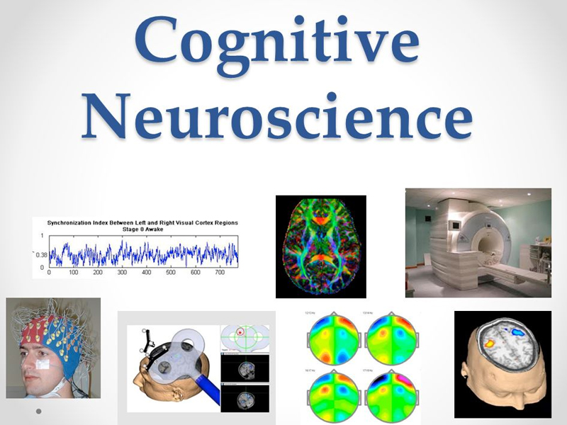 علوم اعصاب شناختی / cognitive neuroscience