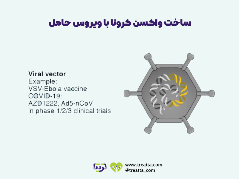 ساخت واکسن کرونا با ویروس-حامل