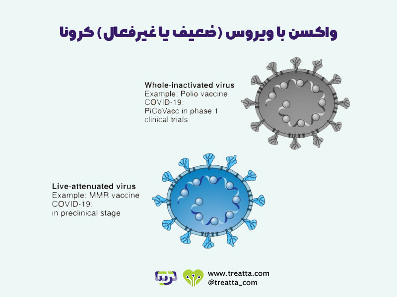 ساخت واکسن کرونا با ویروس-غیرفعال