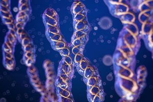 کروموزم چیست؟/what is chromosome