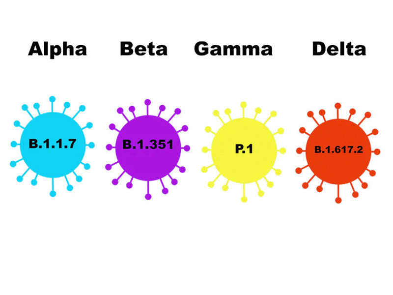 کرونا آلفا، بتا و گاما/alpha beta gamma coronavariants