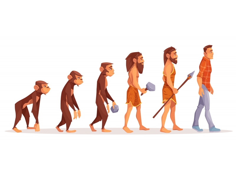 evolution | تکامل