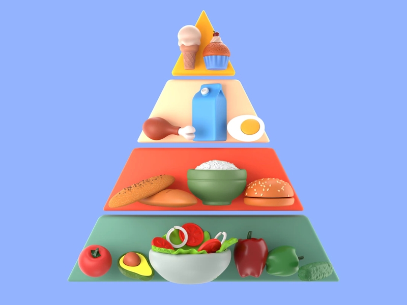 هرم غذایی |‌ food pyramid